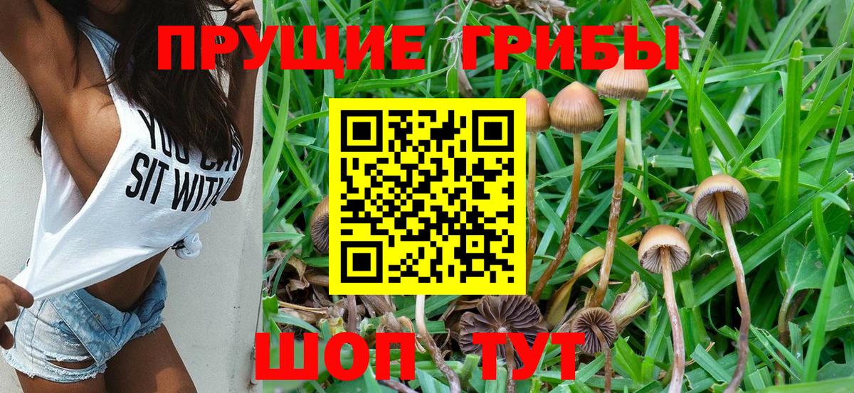 Псилоцибиновые грибы Magic Shrooms  закладка  Кировск  Вход с VPN 