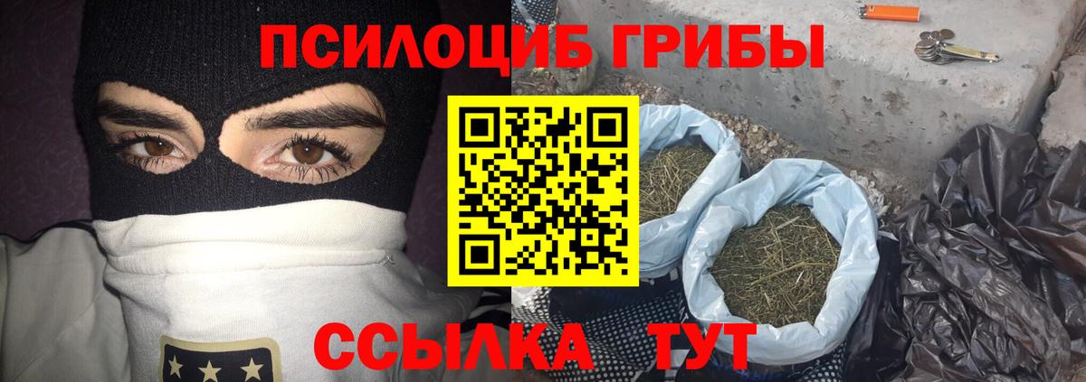 Псилоцибиновые грибы ЛСД Кировск
